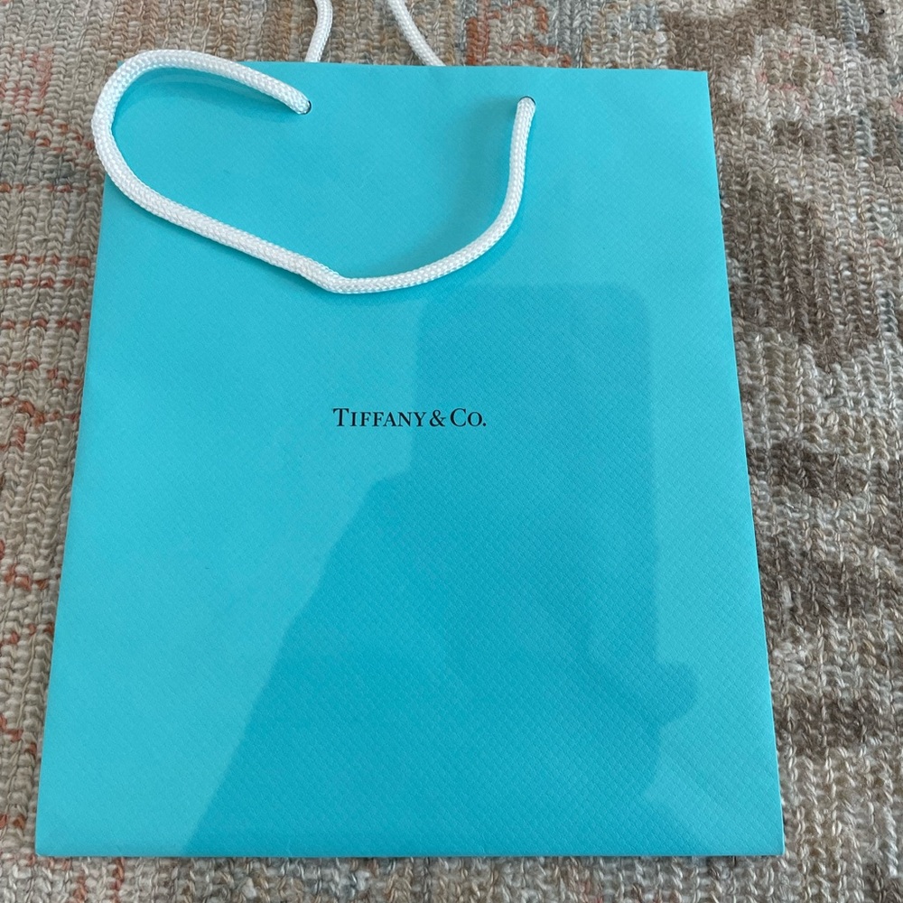 Medium Tiffany & Co. Shopping Gift Bag